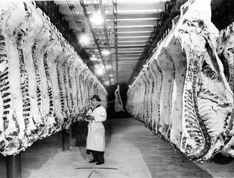 meat meatpacking act inspection industry sinclair upton jungle chicago stockyards food packing 1906 american dark side fast america nation meal